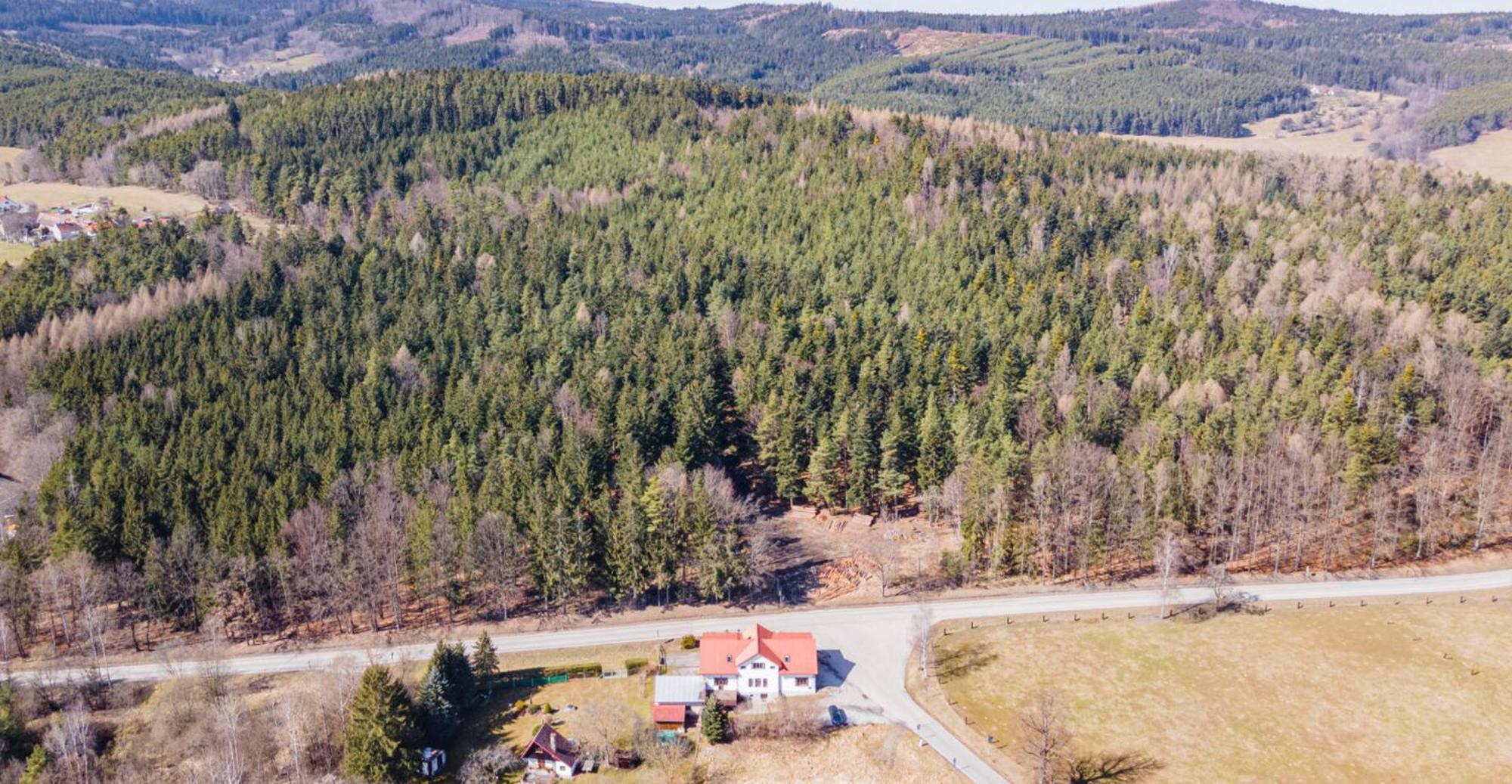 Penzion Na Letne Zlatá Koruna Eksteriør bilde